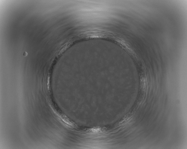 X0000066120406200603131333