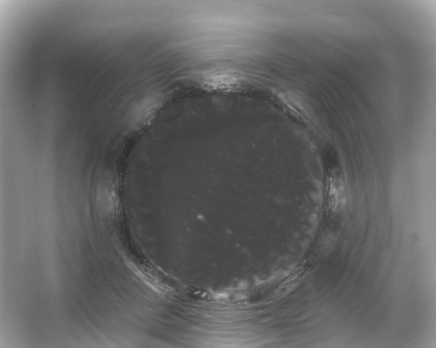 X0000066120408200603131333