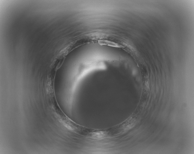 X0000066120411200603131333