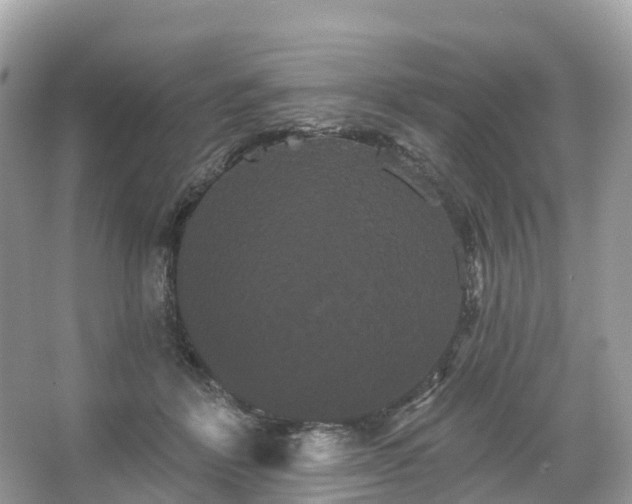 X0000066120412200603131333