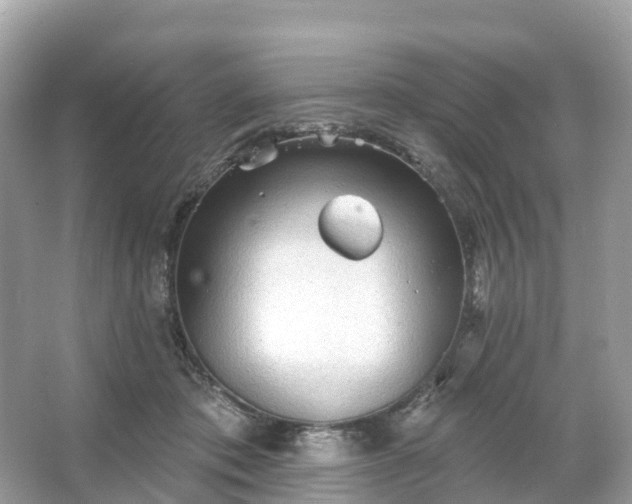 X0000066120413200603131333