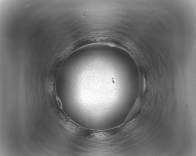 X0000066120417200603131333