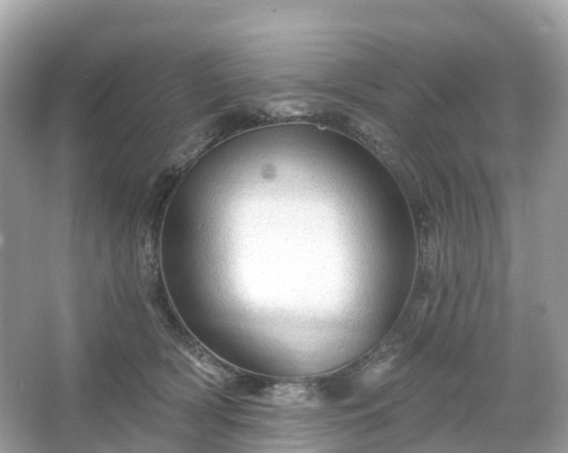 X0000066120418200603131333