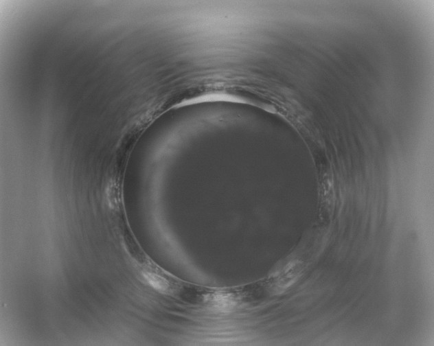 X0000066120419200603131333