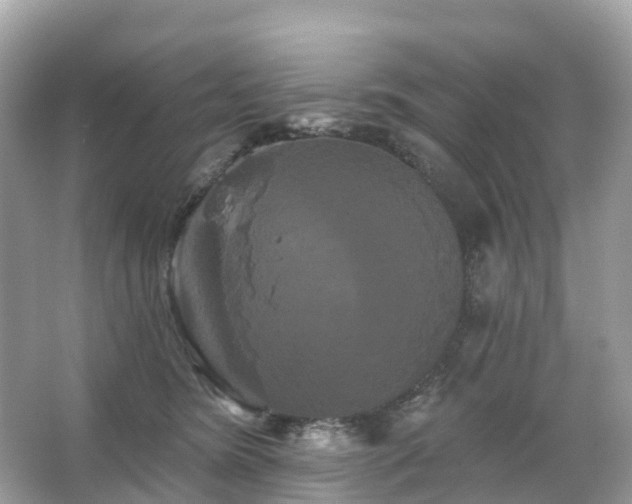 X0000066120420200603131333