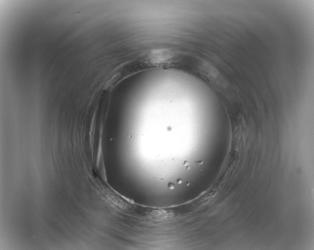 X0000066120421200603131333