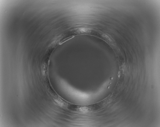 X0000066120423200603131333