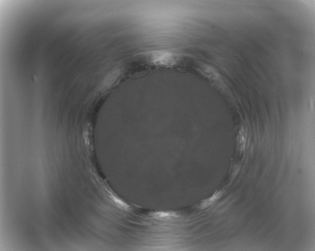 X0000066120424200603131333