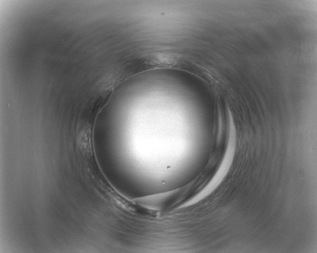 X0000066120425200603131333