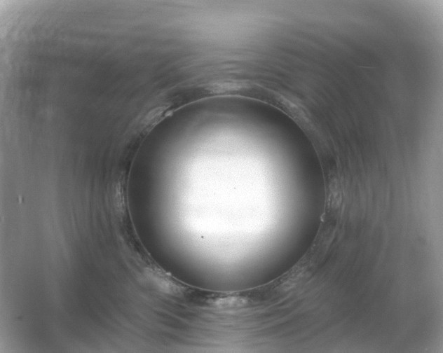 X0000066120426200603131333