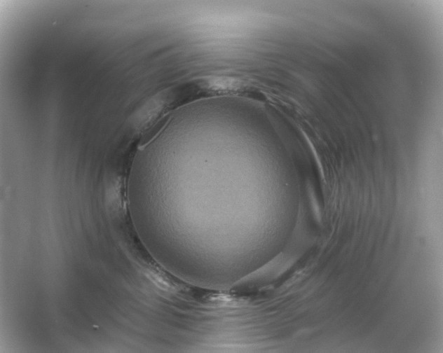 X0000066120428200603131333