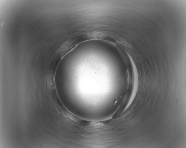 X0000066120429200603131333