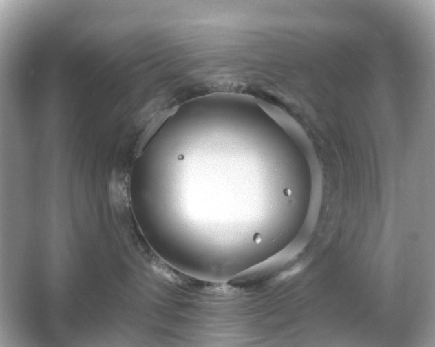 X0000066120432200603131333