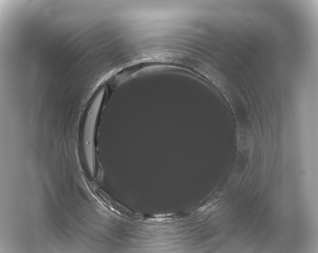 X0000066120434200603131332