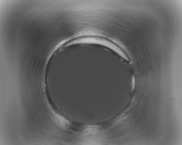 X0000066120438200603131332