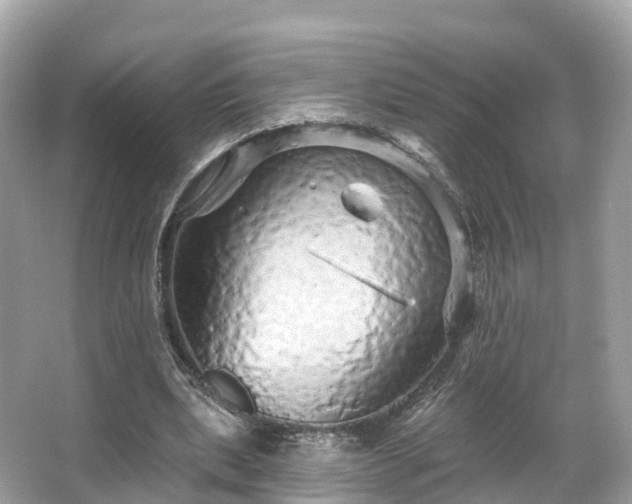 X0000066120439200603131332