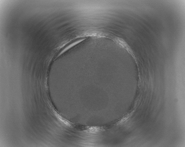 X0000066120441200603131332