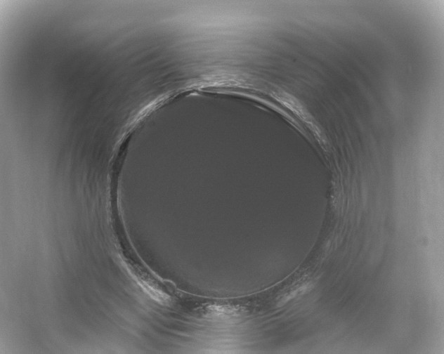 X0000066120442200603131332