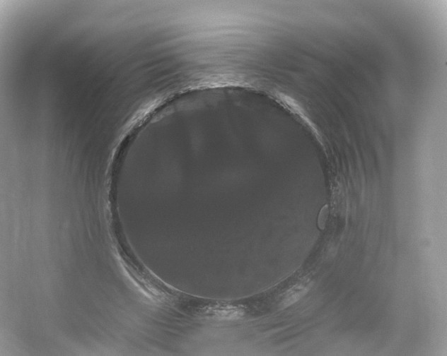 X0000066120443200603131332