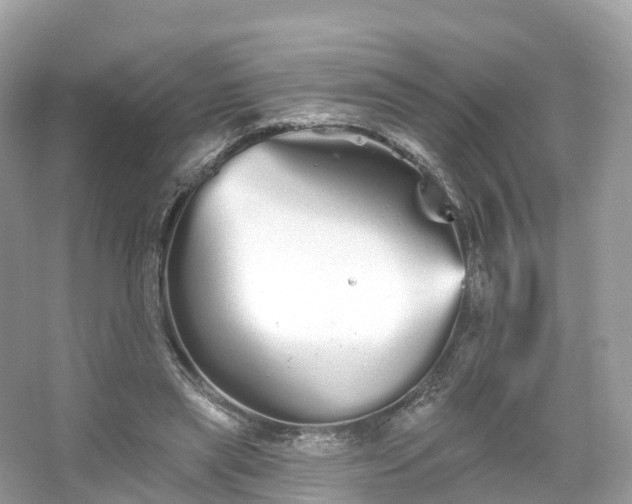 X0000066120445200603131332