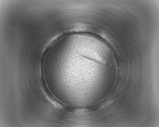 X0000066120446200603131332