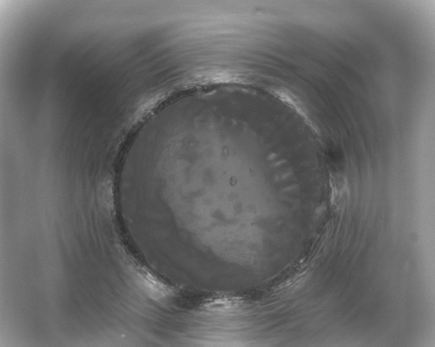 X0000066120447200603131332