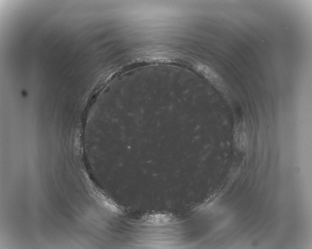 X0000066120449200603131332