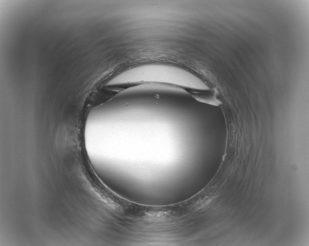 X0000066120450200603131332