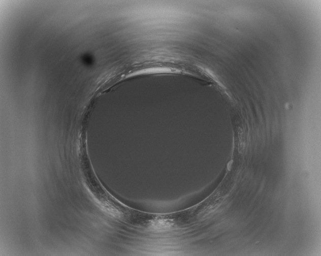 X0000066120451200603131332