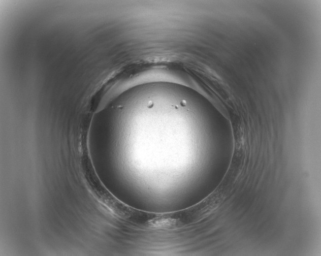 X0000066120452200603131332