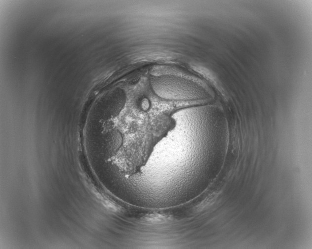 X0000066120453200603131332