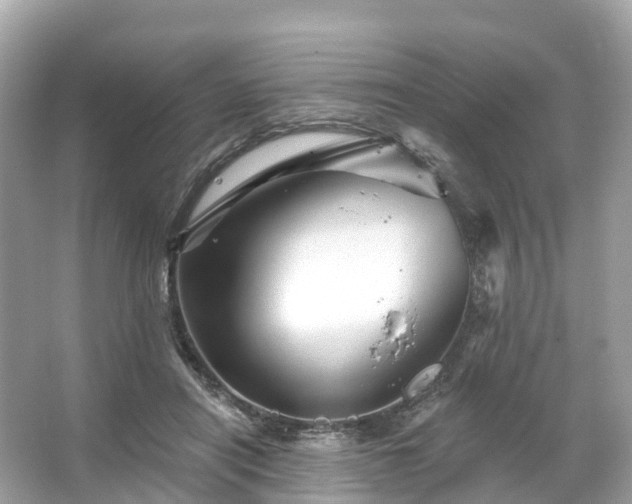 X0000066120454200603131332