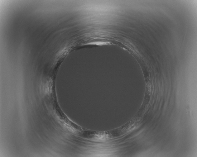 X0000066120458200603131332