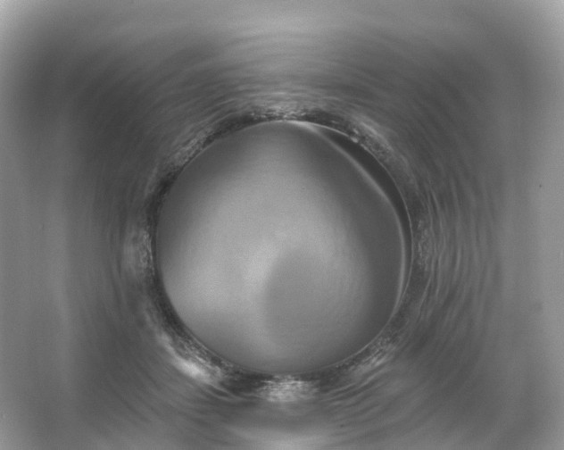 X0000066120459200603131332