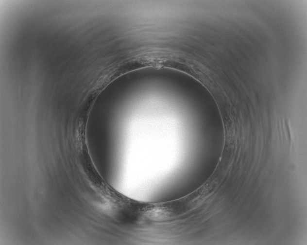 X0000066120460200603131332