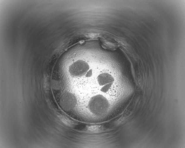 X0000066120461200603131332