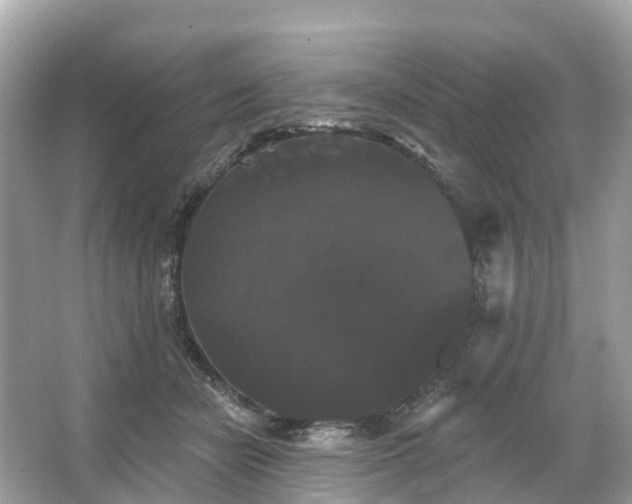 X0000066120462200603131332