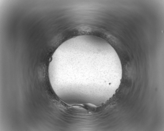 X0000066120463200603131333