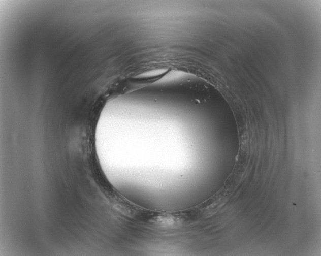 X0000066120464200603131333