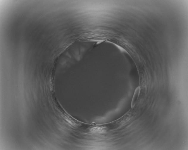 X0000066120465200603131333