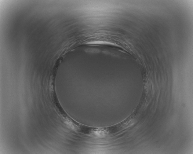 X0000066120466200603131333