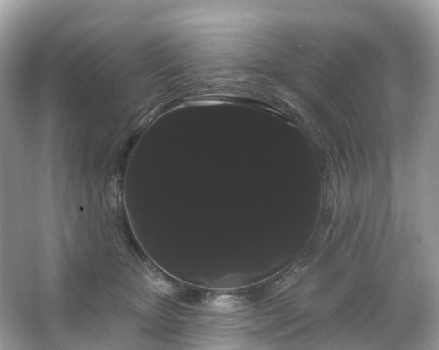 X0000066120467200603131333