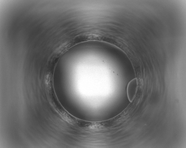 X0000066120468200603131333