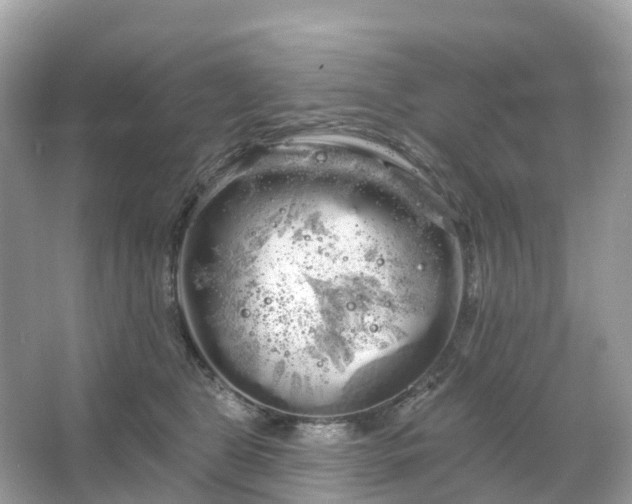 X0000066120469200603131333