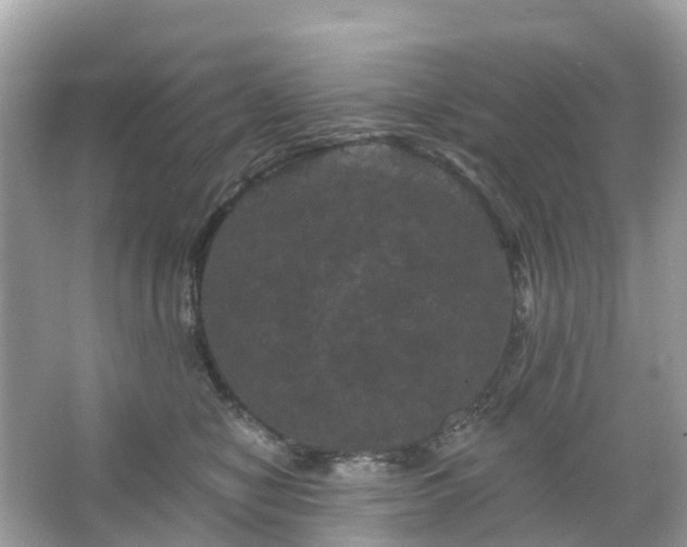 X0000066120470200603131333