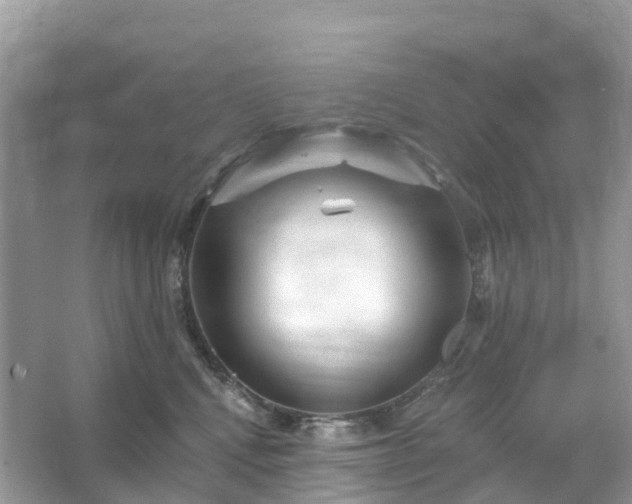 X0000066120472200603131333