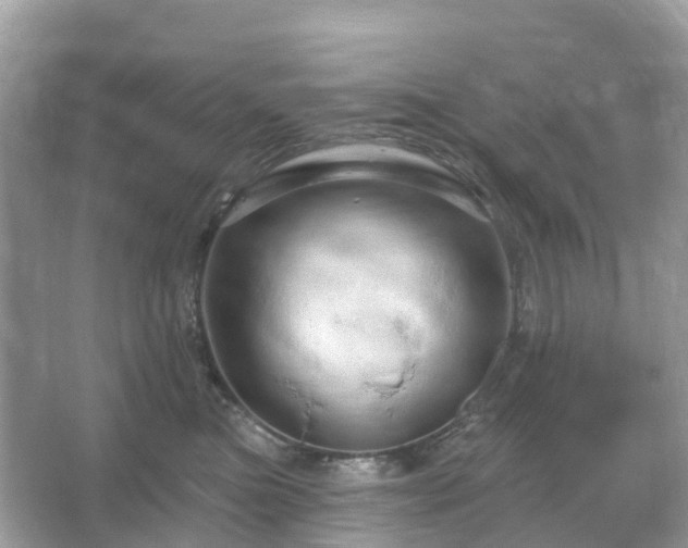 X0000066120473200603131333