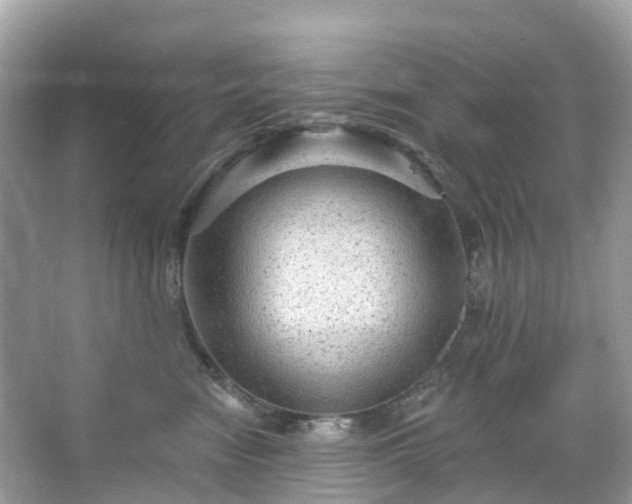 X0000066120474200603131333