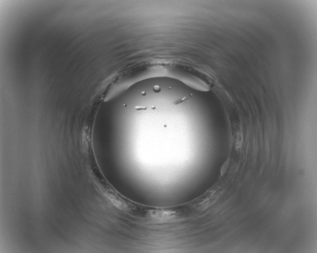 X0000066120476200603131333