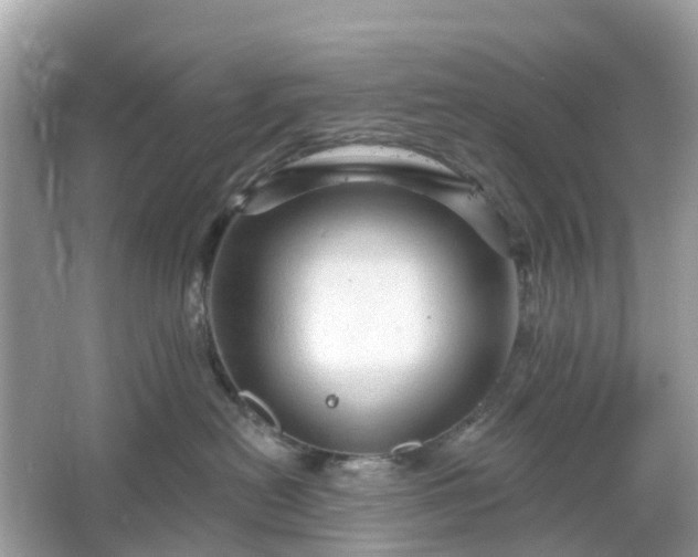 X0000066120478200603131333